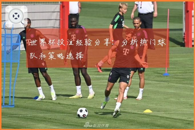 世界杯投注经验分享：分析热门球队和策略选择