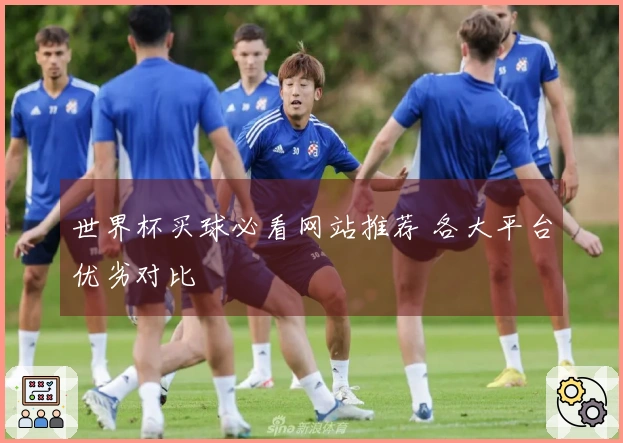 世界杯买球必看网站推荐 各大平台优劣对比
