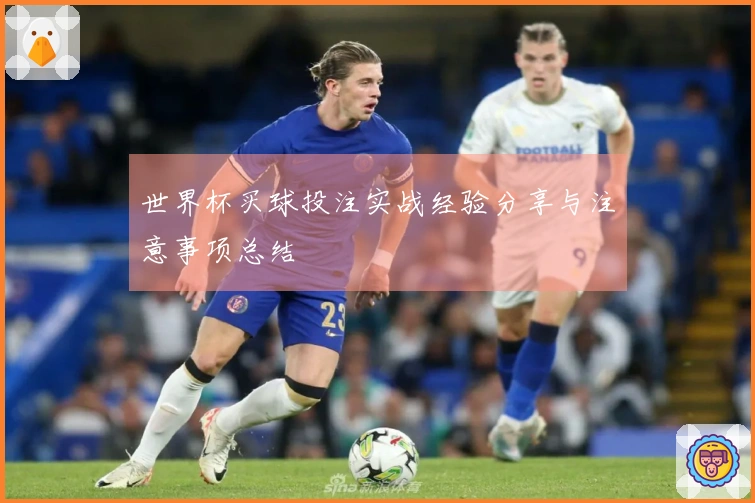 世界杯买球投注实战经验分享与注意事项总结