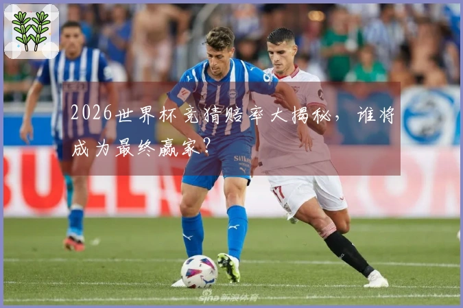 2026世界杯竞猜赔率大揭秘，谁将成为最终赢家？