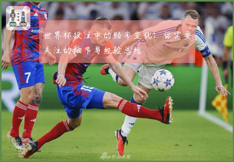 世界杯投注中的赔率变化：你需要关注的细节与经验总结