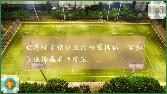 世界杯竞猜投注的秘密揭秘，你如何选择赢家与输家
