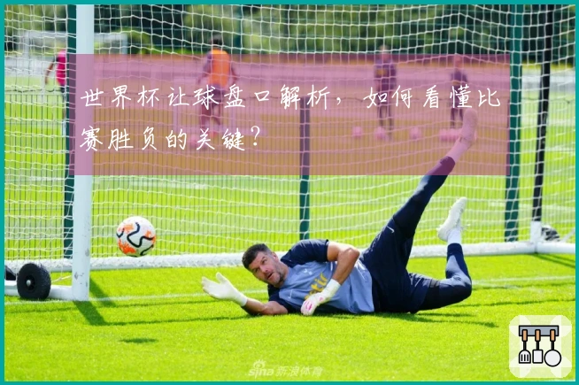 世界杯让球盘口解析，如何看懂比赛胜负的关键？