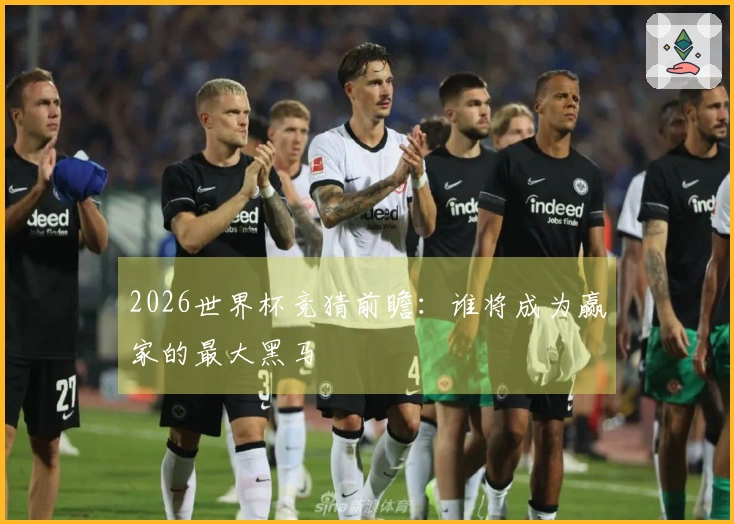 2026世界杯竞猜前瞻：谁将成为赢家的最大黑马