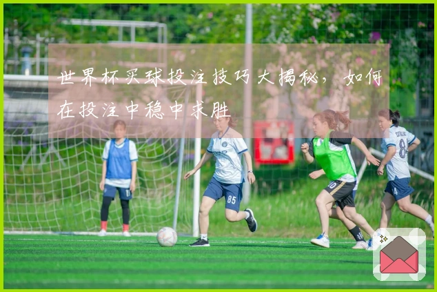 世界杯买球投注技巧大揭秘，如何在投注中稳中求胜