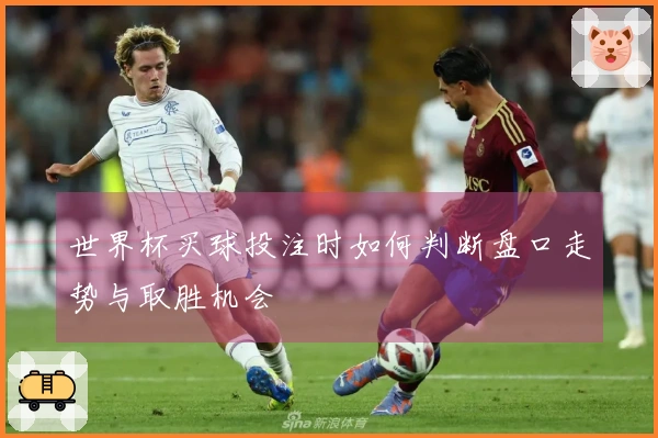 世界杯买球投注时如何判断盘口走势与取胜机会