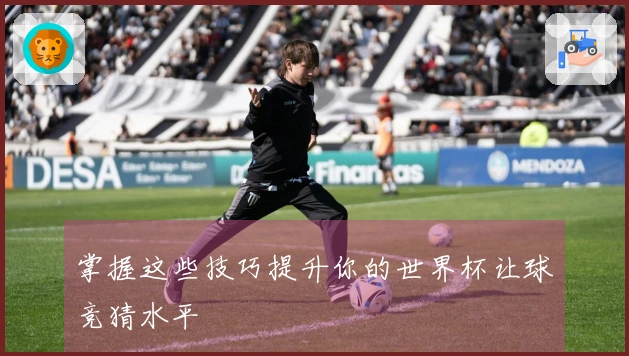 掌握这些技巧提升你的世界杯让球竞猜水平