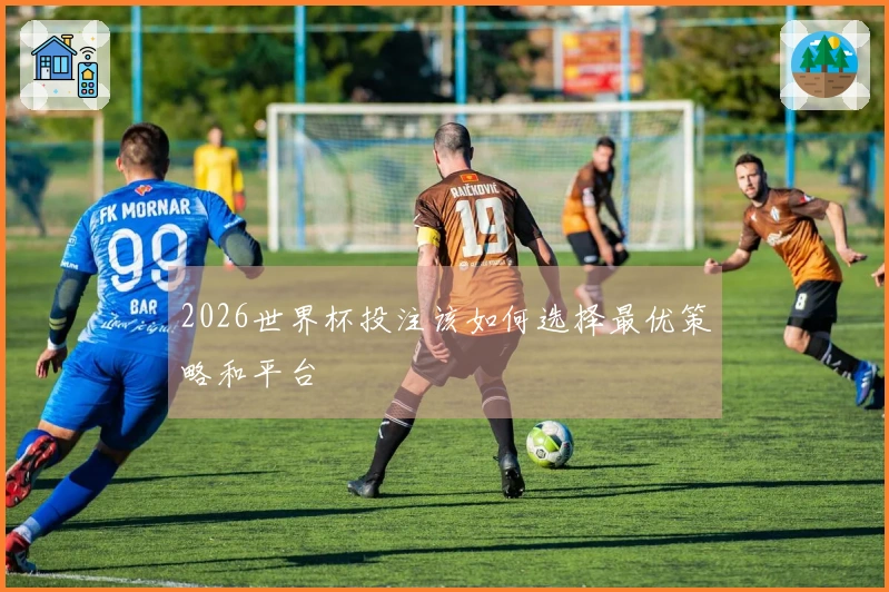 2026世界杯投注该如何选择最优策略和平台