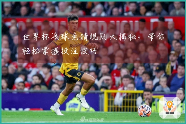 世界杯滚球竞猜规则大揭秘，带你轻松掌握投注技巧