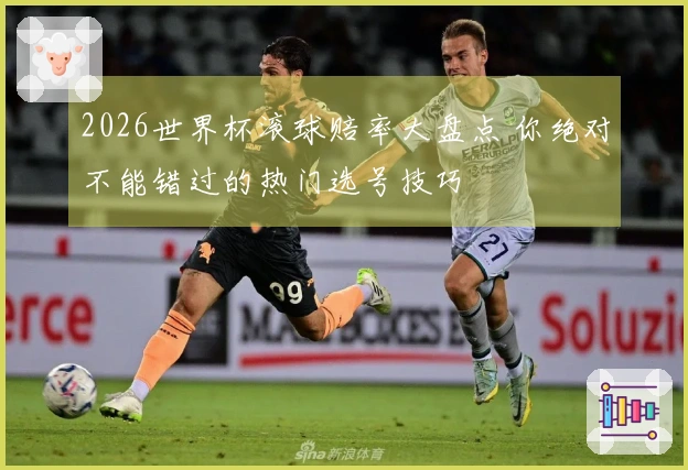 2026世界杯滚球赔率大盘点 你绝对不能错过的热门选号技巧