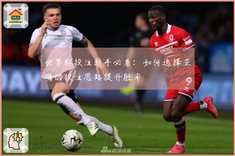 世界杯投注新手必看：如何选择正确的投注思路提升胜率