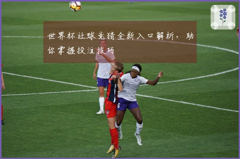 世界杯让球竞猜全新入口解析，助你掌握投注技巧